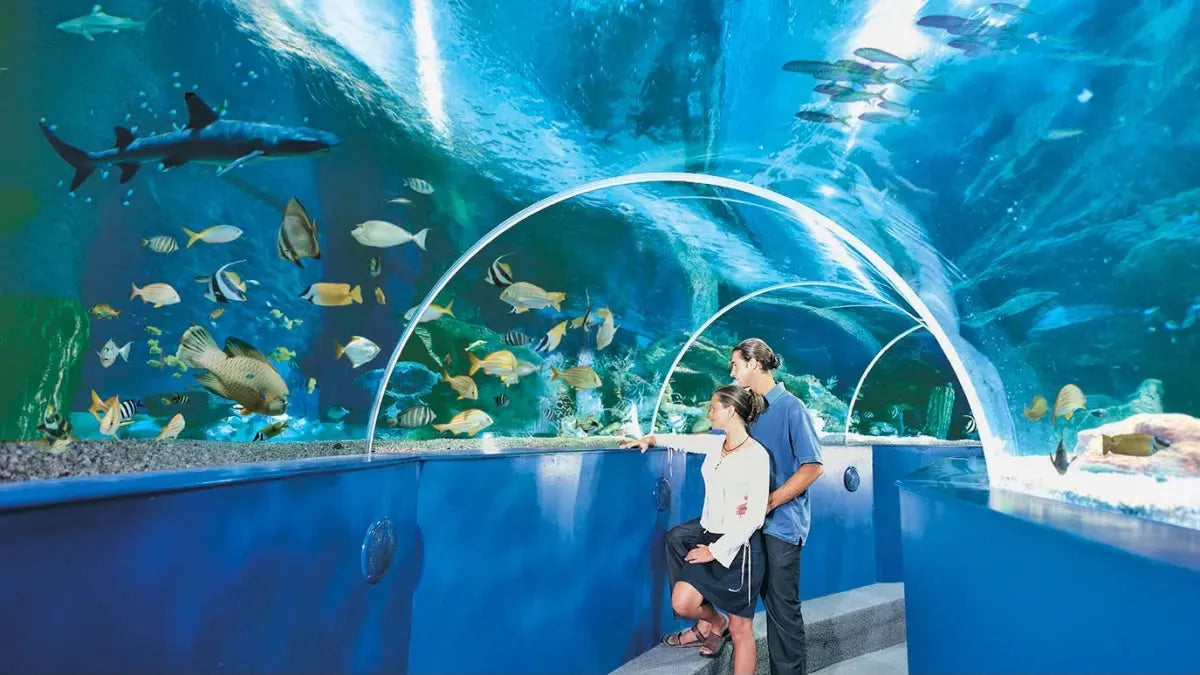 Blue Reef Aquarium