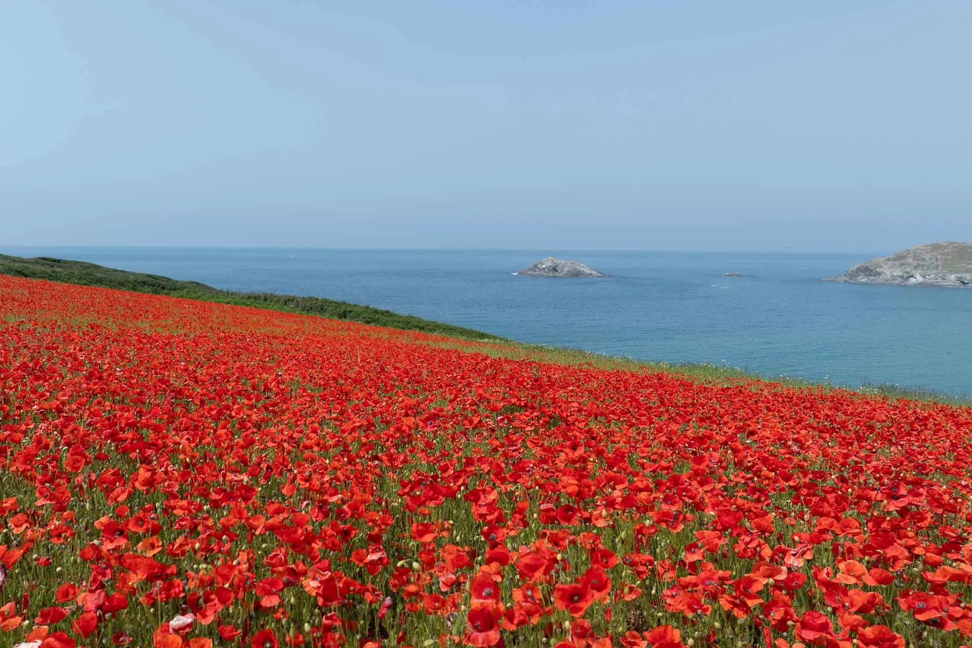 The South West Coast Path